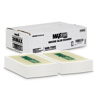 Catchmaster Max-Catch Mouse & Insect Glue Trap 36Pk, Mouse Traps Indoor for Home, Sticky Pest Control Adhesive Tray for Catching Bugs, Rats & Rodents, Non Toxic Bulk Pre-Baited Glue Boards