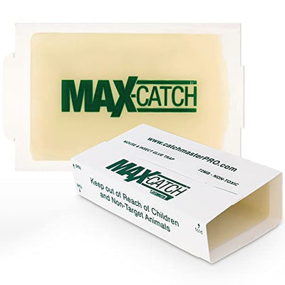 MAX-Catch Pest Glue Trap White by Catchmaster - 72 Boards Peanutbutter scented, Ready to Use Indoors. Rodent Mouse Rat Insect Sticky Adhesive Simple Easy Simple Non-Toxic - Made in USA