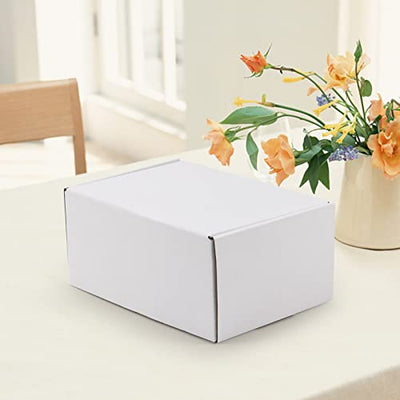 HORLIMER 9x6x4 inches Shipping Boxes Set of 25, White Corrugated Cardboard Box Literature Mailer
