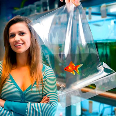 APQ Clear Plastic Fish Bags 6" x 12", Pack of 100 Large Fish Bags for Transporting, 2 Mil Thick Poly & Plastic Packaging Bags, Durable Fish Carrier Bag, Food Grade Poly Clear Plastic Bags for Fish