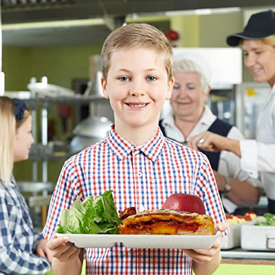 Vplus 100% Compostable 5 Compartment Plates, 100 Pack Compartment Paper Plate, 12.5 * 8.6 inch Disposable School Lunch Trays, Eco-Friendly Bagasse Plates for School Lunch, Buffet, and Party