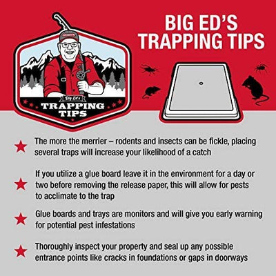 Baited Glue Traps by Catchmaster - 10 Pre-Baited Trays, Ready to Use Indoors. Rat Mouse Snake Exterminator Plastic Sticky Adhesive Easy No-Mess Simple Non-Toxic Disposable - Made in the USA