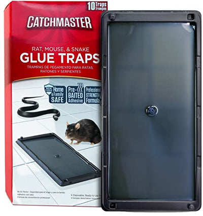 Baited Glue Traps by Catchmaster - 10 Pre-Baited Trays, Ready to Use Indoors. Rat Mouse Snake Exterminator Plastic Sticky Adhesive Easy No-Mess Simple Non-Toxic Disposable - Made in the USA