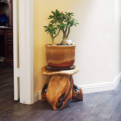 WELLAND Tree Stump Stool Live Edge, Natural Edge Side Table, Plant Stand, Nightstand, Mushroom Stool 14" Tall