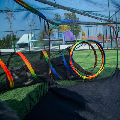 LUCKITTY Outdoor Rainbow Cat Enclosures Playground,Outside House for Indoor Cats Include Portable Cat Tent, Circle Playpen Tunnel, for Kitty and Small Animals,Within Storage Bag